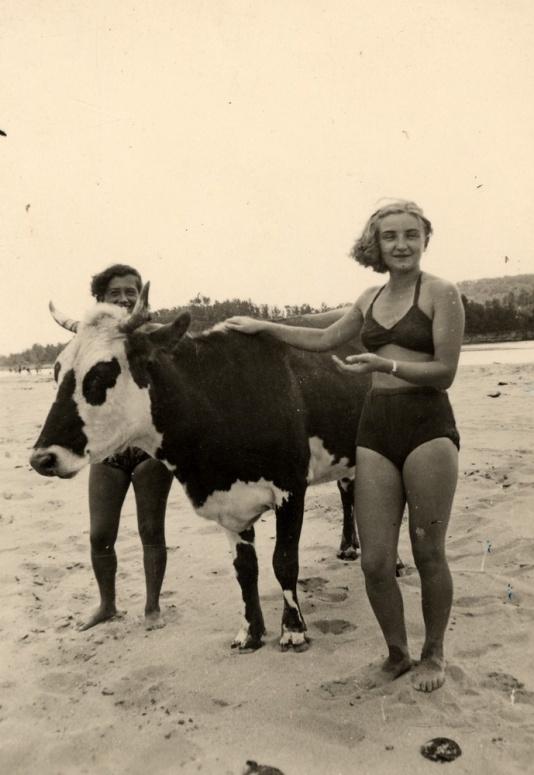 Wypoczynek nad rzeką Jiu. Erna Moses i Ewa Ossolińska (na pierwszym planie) z krową.