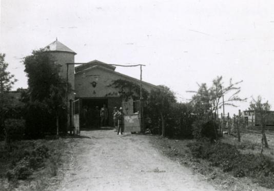 Żołnierze 2 Korpusu Polskiego w Palestynie, około 23 kwietnia 1944